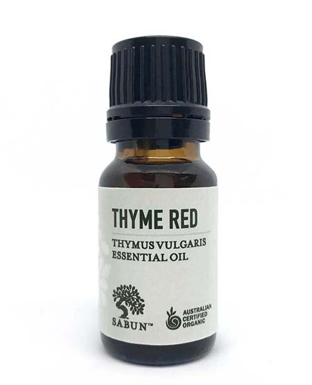 Thyme Red Essential Oil - Organic