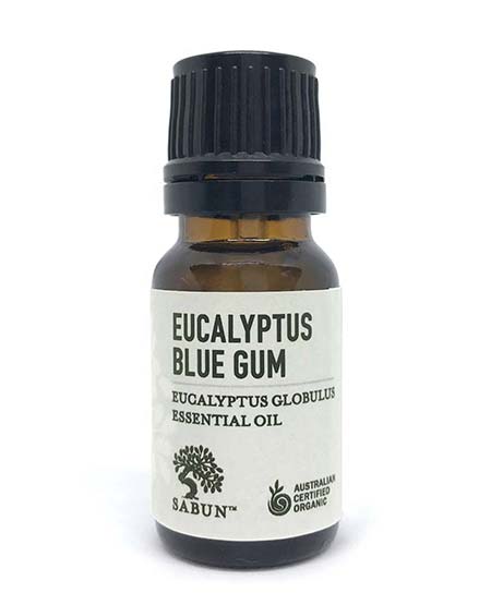 Eucalyptus Blue Gum Essential Oil - Organic